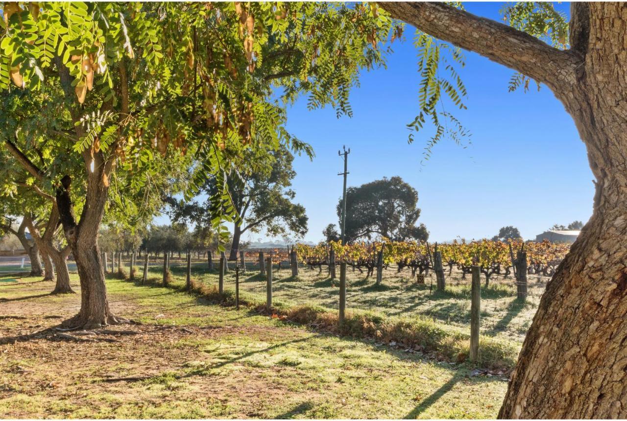Discovery Parks - Swan Valley Caversham Esterno foto