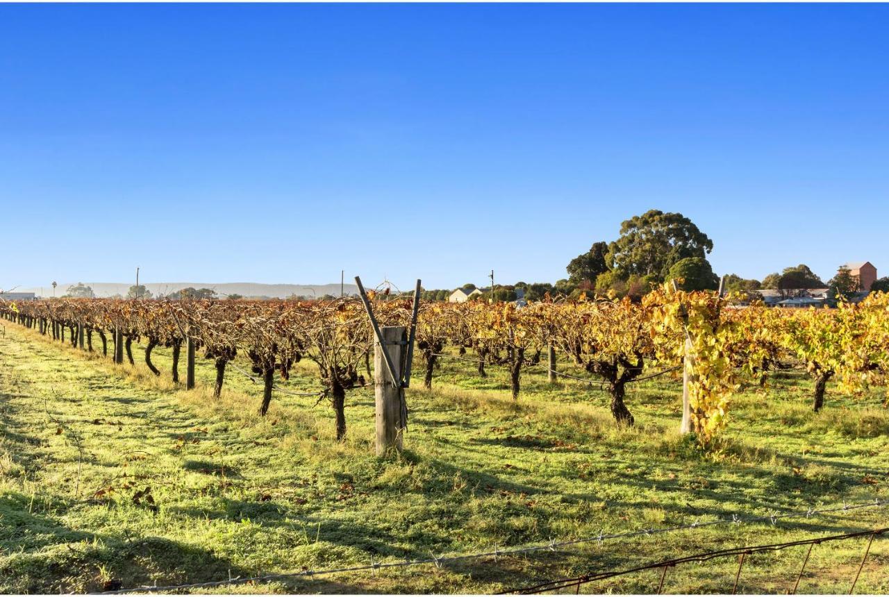 Discovery Parks - Swan Valley Caversham Esterno foto